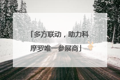 多方联动，助力科摩罗唯一参展商