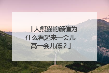 大熊猫的颜值为什么看起来一会儿高一会儿低？