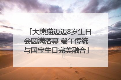 大熊猫迈迈8岁生日会圆满落幕 端午传统与国宝生日完美融合