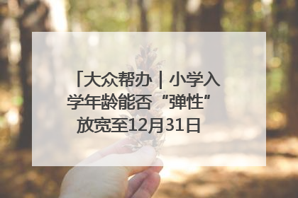 大众帮办｜小学入学年龄能否“弹性”放宽至12月31日？有地方已在探索