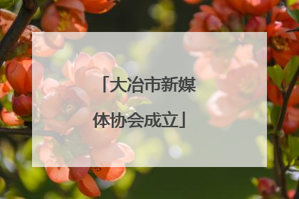 大冶市新媒体协会成立