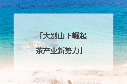 大别山下崛起茶产业新势力