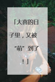 大喜的日子里，又被“萌”到了！