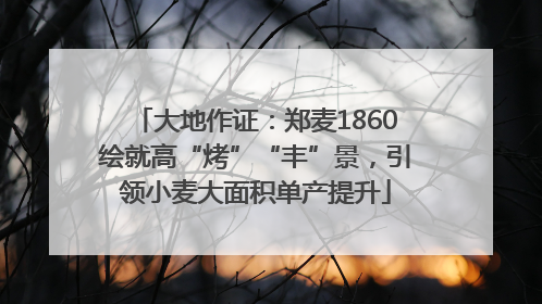 大地作证：郑麦1860绘就高“烤”“丰”景，引领小麦大面积单产提升