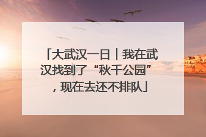 大武汉一日︱我在武汉找到了“秋千公园”，现在去还不排队