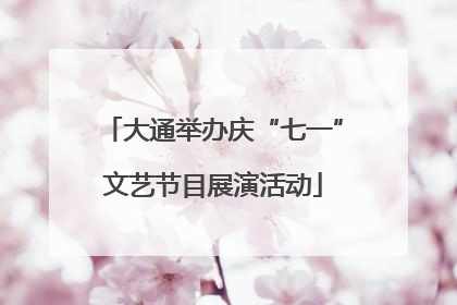 大通举办庆“七一”文艺节目展演活动