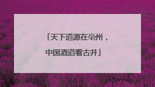 天下道源在亳州，中国酒道看古井