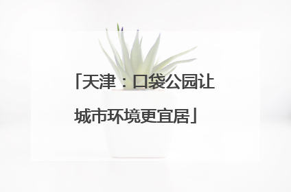 天津：口袋公园让城市环境更宜居