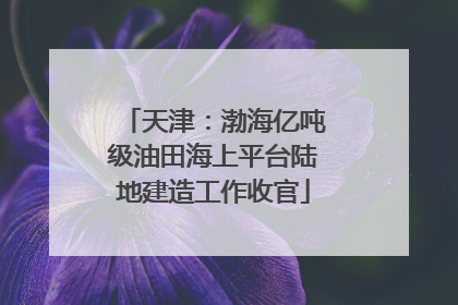 天津：渤海亿吨级油田海上平台陆地建造工作收官