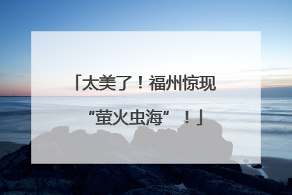 太美了！福州惊现“萤火虫海”！