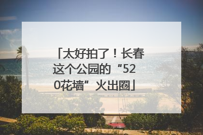太好拍了！长春这个公园的“520花墙”火出圈