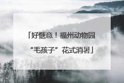 好惬意！福州动物园“毛孩子”花式消暑