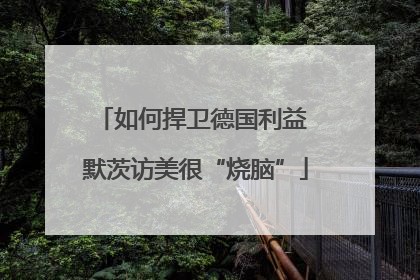 如何捍卫德国利益 默茨访美很“烧脑”