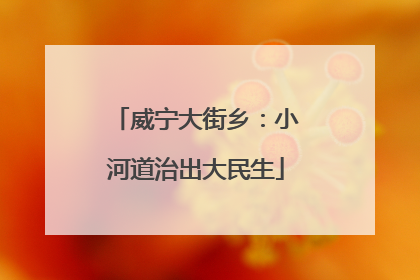 威宁大街乡:小河道治出大民生