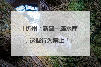 忻州：新建一座水库，这些行为禁止！