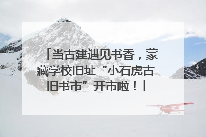 当古建遇见书香，蒙藏学校旧址“小石虎古旧书市”开市啦！