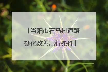 当阳市石马村道路硬化改善出行条件