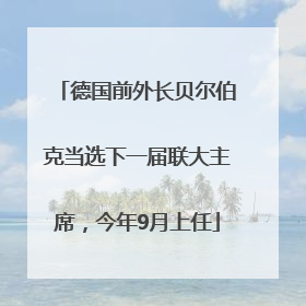 德国前外长贝尔伯克当选下一届联大主席，今年9月上任