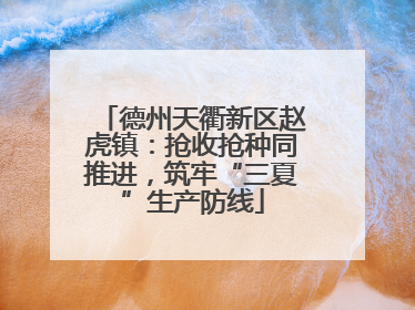 德州天衢新区赵虎镇：抢收抢种同推进，筑牢“三夏”生产防线
