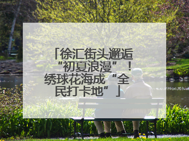 徐汇街头邂逅“初夏浪漫”！绣球花海成“全民打卡地”