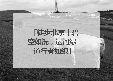 徒步北京｜碧空如洗，运河绿道行者如织