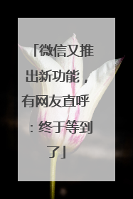 微信又推出新功能，有网友直呼：终于等到了