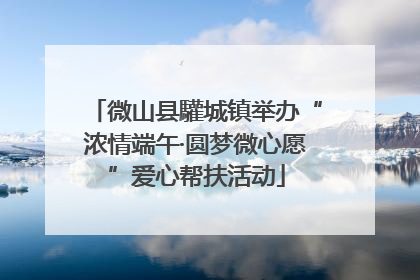 微山县驩城镇举办“浓情端午·圆梦微心愿”爱心帮扶活动