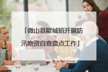 微山县驩城镇开展防汛物资自查盘点工作