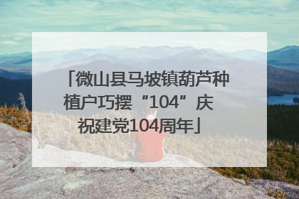 微山县马坡镇葫芦种植户巧摆“104”庆祝建党104周年