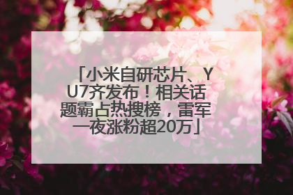 小米自研芯片、YU7齐发布！相关话题霸占热搜榜，雷军一夜涨粉超20万