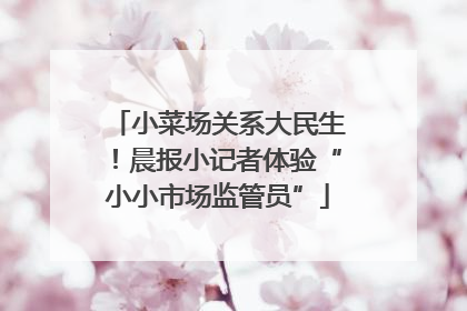 小菜场关系大民生！晨报小记者体验“小小市场监管员”