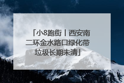小8跑街丨西安南二环金水路口绿化带垃圾长期未清