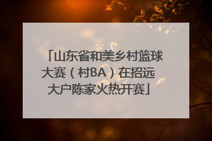 山东省和美乡村篮球大赛（村BA）在招远大户陈家火热开赛