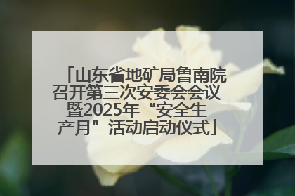 山东省地矿局鲁南院召开第三次安委会会议暨2025年“安全生产月”活动启动仪式