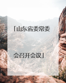 山东省委常委会召开会议