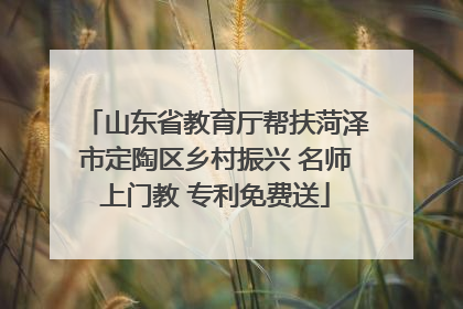 山东省教育厅帮扶菏泽市定陶区乡村振兴 名师上门教 专利免费送