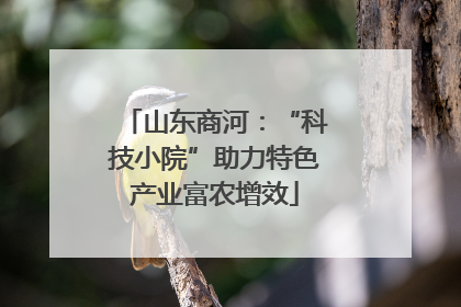 山东商河：“科技小院”助力特色产业富农增效