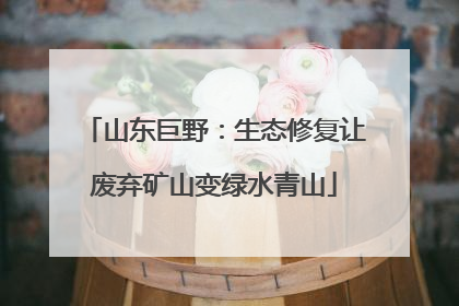 山东巨野：生态修复让废弃矿山变绿水青山