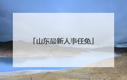 山东最新人事任免