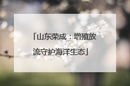 山东荣成：增殖放流守护海洋生态