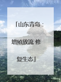 山东青岛：增殖放流 修复生态