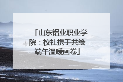 山东铝业职业学院：校社携手共绘端午温暖画卷