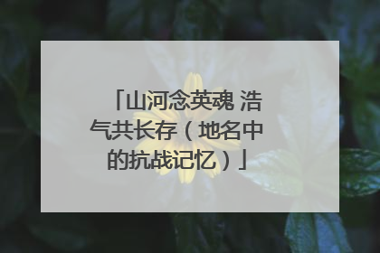 山河念英魂 浩气共长存（地名中的抗战记忆）