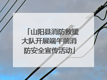 山阳县消防救援大队开展端午前消防安全宣传活动