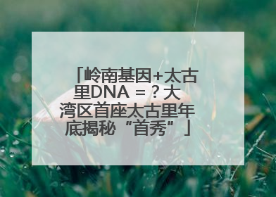 岭南基因+太古里DNA =？大湾区首座太古里年底揭秘“首秀”