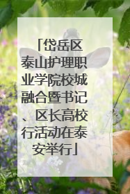 岱岳区 泰山护理职业学院校城融合暨书记、区长高校行活动在泰安举行