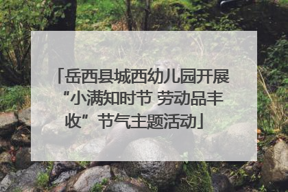 岳西县城西幼儿园开展“小满知时节 劳动品丰收”节气主题活动