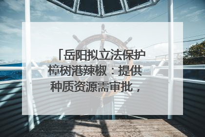 岳阳拟立法保护樟树港辣椒：提供种质资源需审批，违规最高罚5万