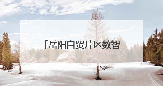 岳阳自贸片区数智法务园：以AI赋能司法，打造新时代法律服务新标杆