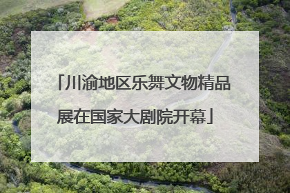 川渝地区乐舞文物精品展在国家大剧院开幕